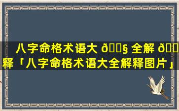 八字命格术语大 🐧 全解 🐒 释「八字命格术语大全解释图片」